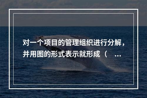 对一个项目的管理组织进行分解，并用图的形式表示就形成（　）。