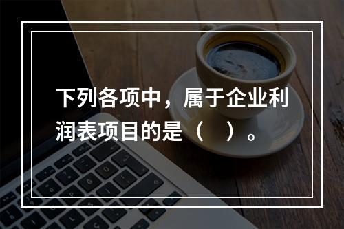 下列各项中，属于企业利润表项目的是（　）。