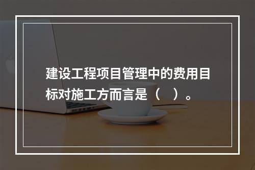 建设工程项目管理中的费用目标对施工方而言是（　）。