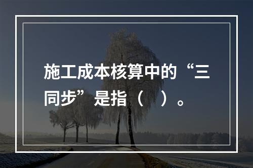 施工成本核算中的“三同步”是指（　）。