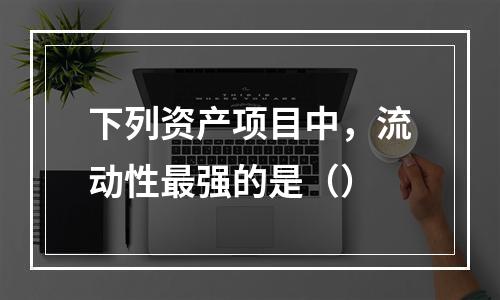 下列资产项目中，流动性最强的是（）