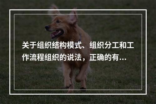 关于组织结构模式、组织分工和工作流程组织的说法，正确的有（　