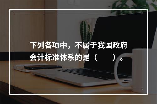 下列各项中，不属于我国政府会计标准体系的是（　　）。