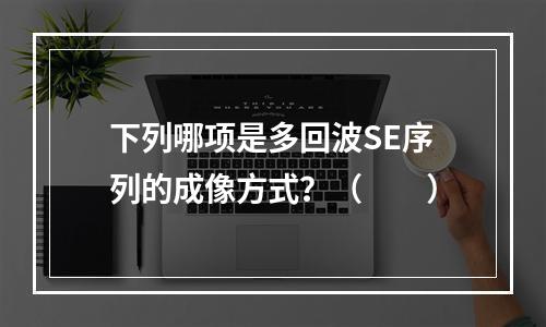 下列哪项是多回波SE序列的成像方式？（　　）