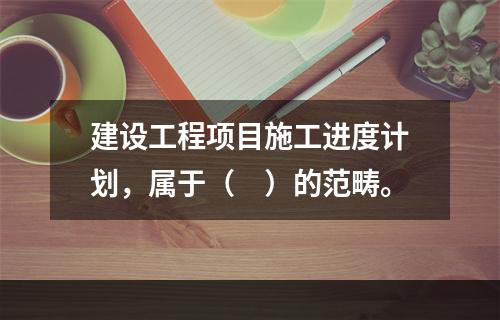 建设工程项目施工进度计划，属于（　）的范畴。