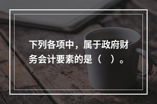 下列各项中，属于政府财务会计要素的是（　）。