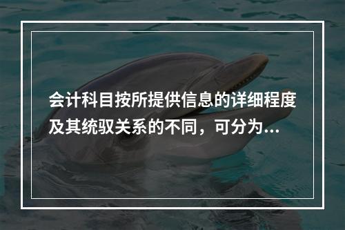 会计科目按所提供信息的详细程度及其统驭关系的不同，可分为（