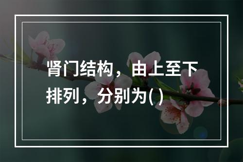 肾门结构，由上至下排列，分别为( )