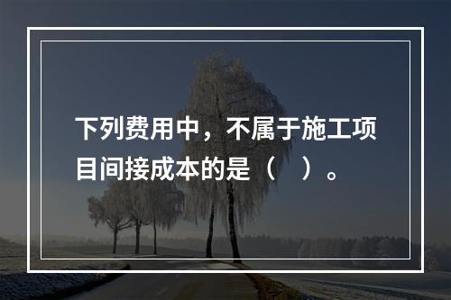 下列费用中，不属于施工项目间接成本的是（　）。