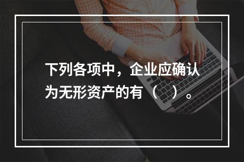 下列各项中，企业应确认为无形资产的有（　）。