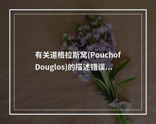 有关道格拉斯窝(PouchofDouglos)的描述错误的是