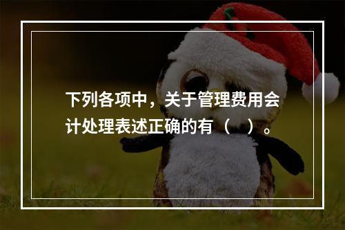 下列各项中，关于管理费用会计处理表述正确的有（　）。