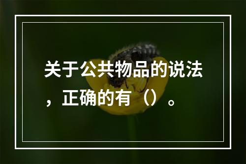 关于公共物品的说法，正确的有（）。