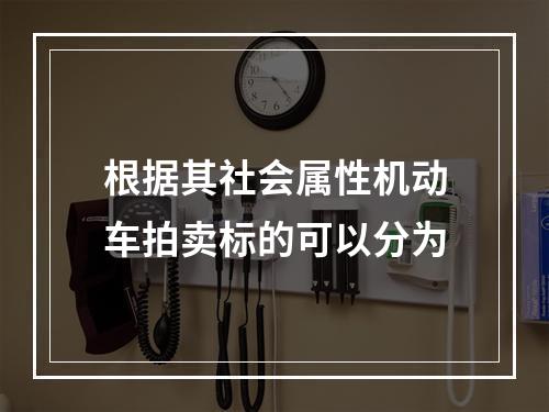 根据其社会属性机动车拍卖标的可以分为