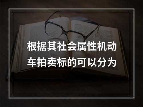 根据其社会属性机动车拍卖标的可以分为