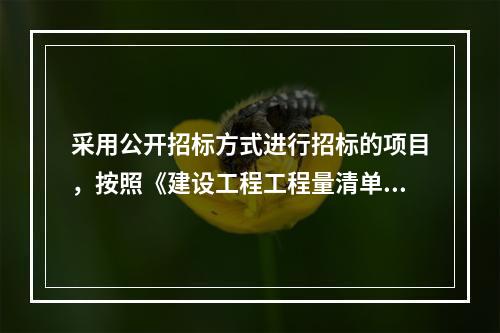 采用公开招标方式进行招标的项目，按照《建设工程工程量清单计价