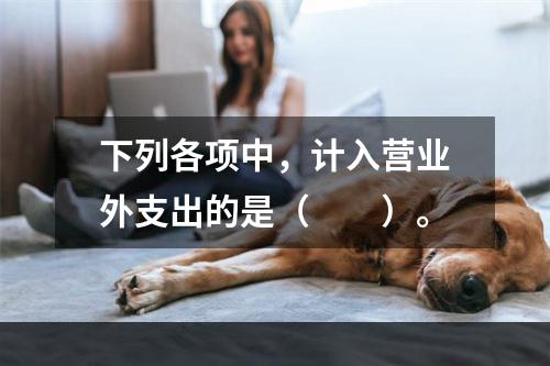 下列各项中，计入营业外支出的是（　　）。