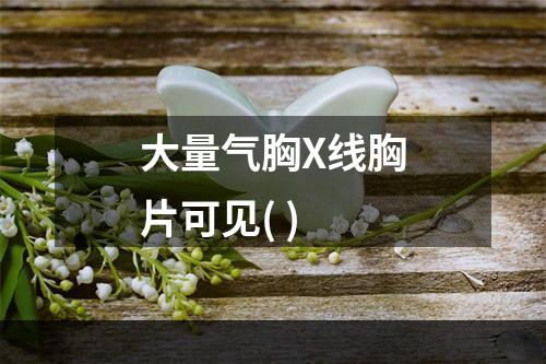 大量气胸X线胸片可见( )