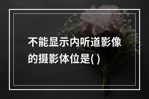 不能显示内听道影像的摄影体位是( )