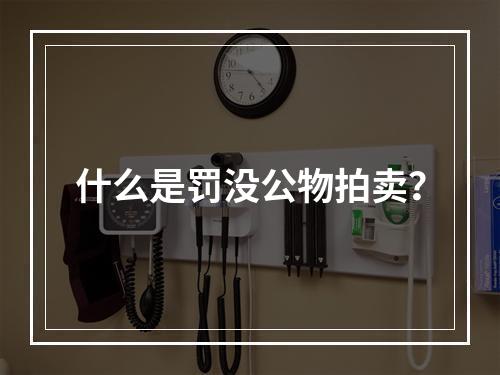 什么是罚没公物拍卖？