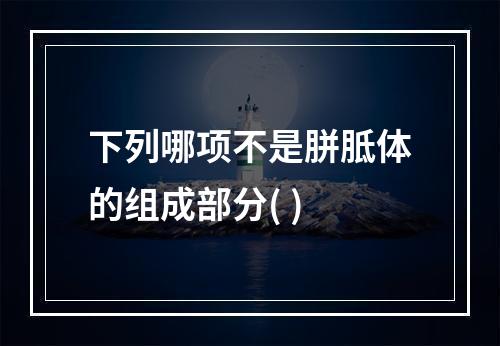 下列哪项不是胼胝体的组成部分( )