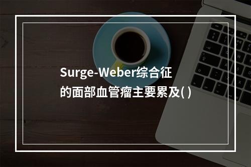 Surge-Weber综合征的面部血管瘤主要累及( )