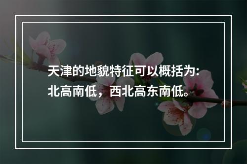 天津的地貌特征可以概括为:北高南低，西北高东南低。