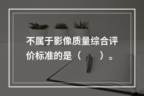 不属于影像质量综合评价标准的是（　　）。