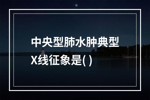 中央型肺水肿典型X线征象是( )