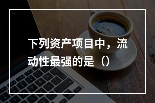 下列资产项目中，流动性最强的是（）