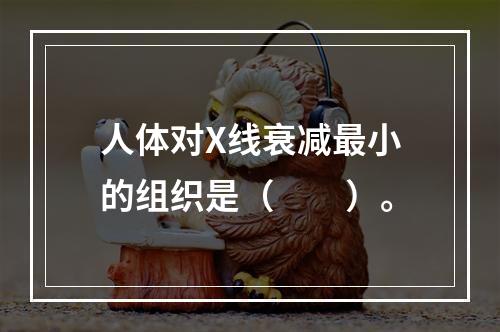 人体对X线衰减最小的组织是（　　）。