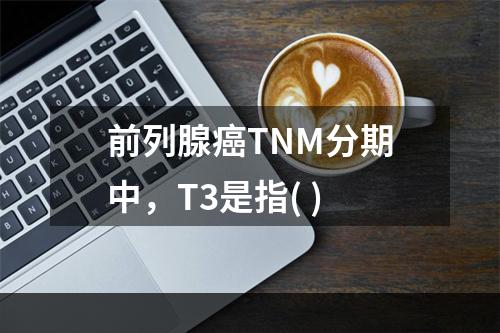 前列腺癌TNM分期中，T3是指( )