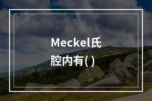 Meckel氏腔内有( )