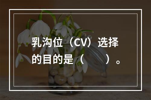 乳沟位（CV）选择的目的是（　　）。