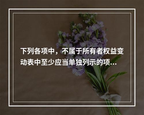 下列各项中，不属于所有者权益变动表中至少应当单独列示的项目是