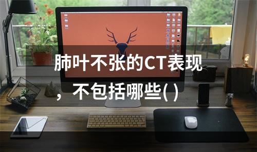 肺叶不张的CT表现，不包括哪些( )