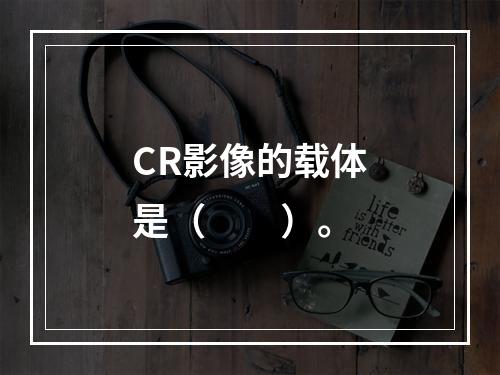 CR影像的载体是（　　）。