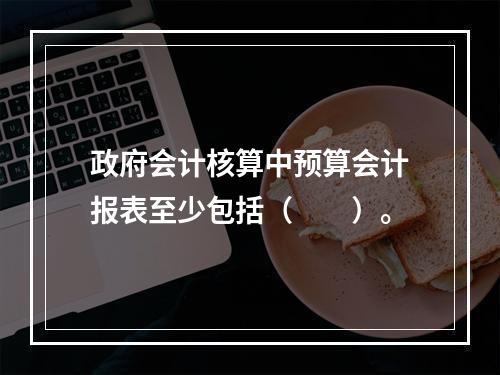 政府会计核算中预算会计报表至少包括（　　）。