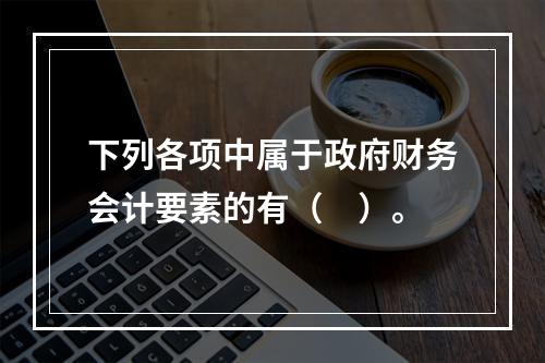 下列各项中属于政府财务会计要素的有（　）。