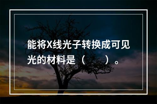 能将X线光子转换成可见光的材料是（　　）。