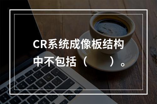 CR系统成像板结构中不包括（　　）。