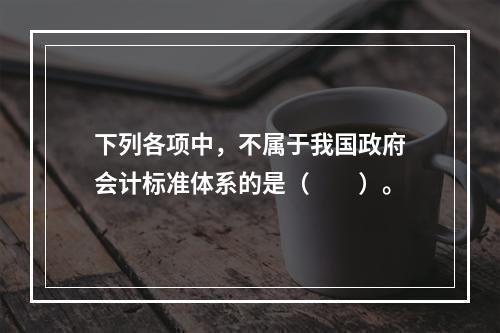 下列各项中，不属于我国政府会计标准体系的是（　　）。