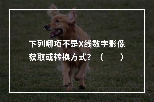 下列哪项不是X线数字影像获取或转换方式？（　　）