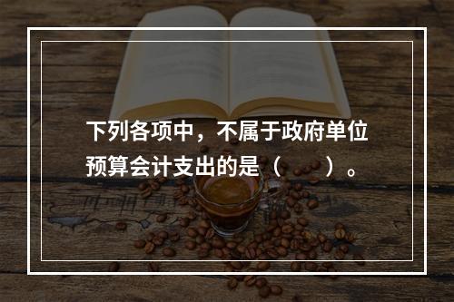 下列各项中，不属于政府单位预算会计支出的是（　　）。