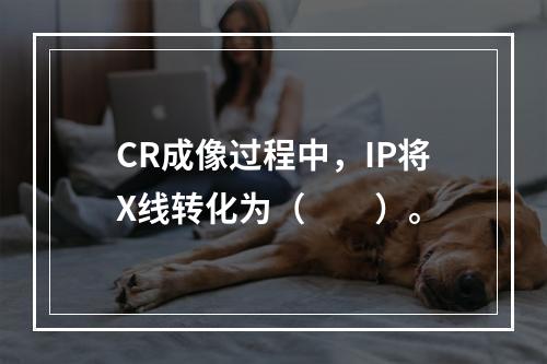 CR成像过程中，IP将X线转化为（　　）。