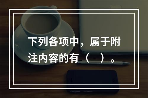 下列各项中，属于附注内容的有（　）。