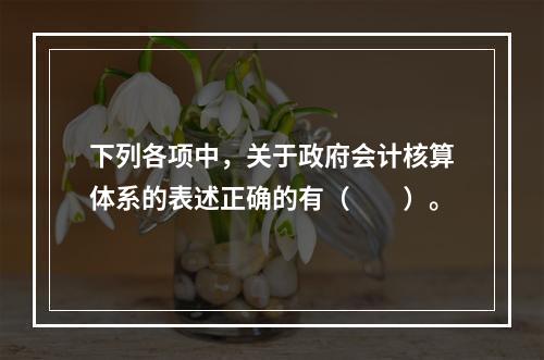 下列各项中，关于政府会计核算体系的表述正确的有（　　）。