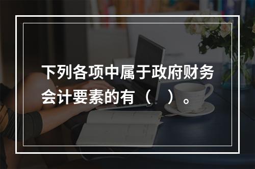 下列各项中属于政府财务会计要素的有（　）。