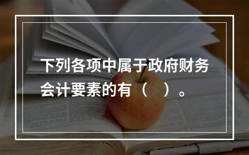 下列各项中属于政府财务会计要素的有（　）。