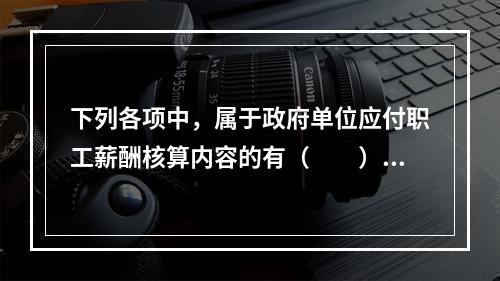 下列各项中，属于政府单位应付职工薪酬核算内容的有（　　）。